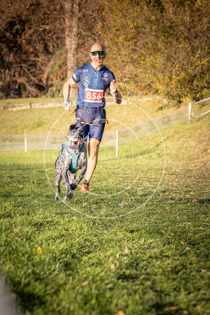 CaniXpix_0L8A0863 | Hundefotografie, Tierfotograf, Pfotenfotografie, Fotoshooting Hund, Hunde Portrait, Hundesport, Hundeportraits, Heideshooting, Hunde, Sportfotograf, Hundefotograf, Turnierhundsport, THS,  - Realisiert mit Pictrs.com