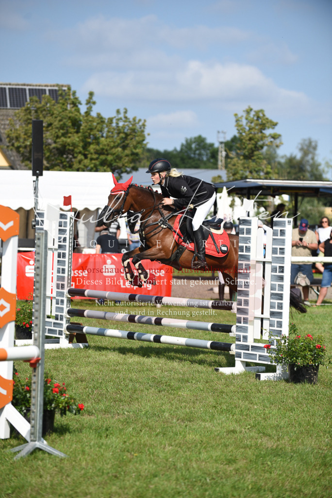 DSC_8958 | Pferde- und Turnierfotografie in Westsachsen. Pferdeportraits, Auftragszeichnungen und intuitive Kunst.