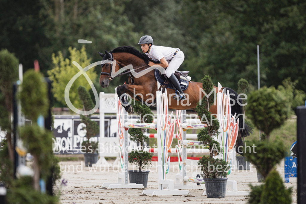 250629_PfSpTa_2Ph-M1-740 | Deine schönsten Turniermomente als professionelle Fotos! Entdecke hochwertige Pferdesport-Fotografie im Online-Shop. Jetzt Fotos finden & bestellen!
