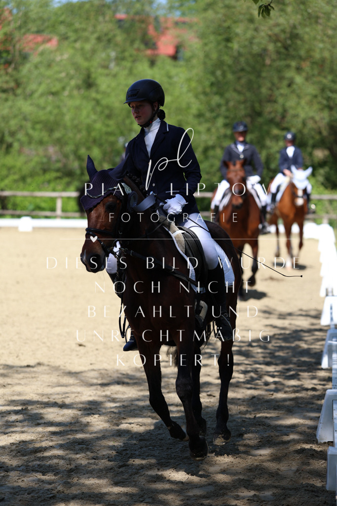 IMGS3521 | pl-fotografie