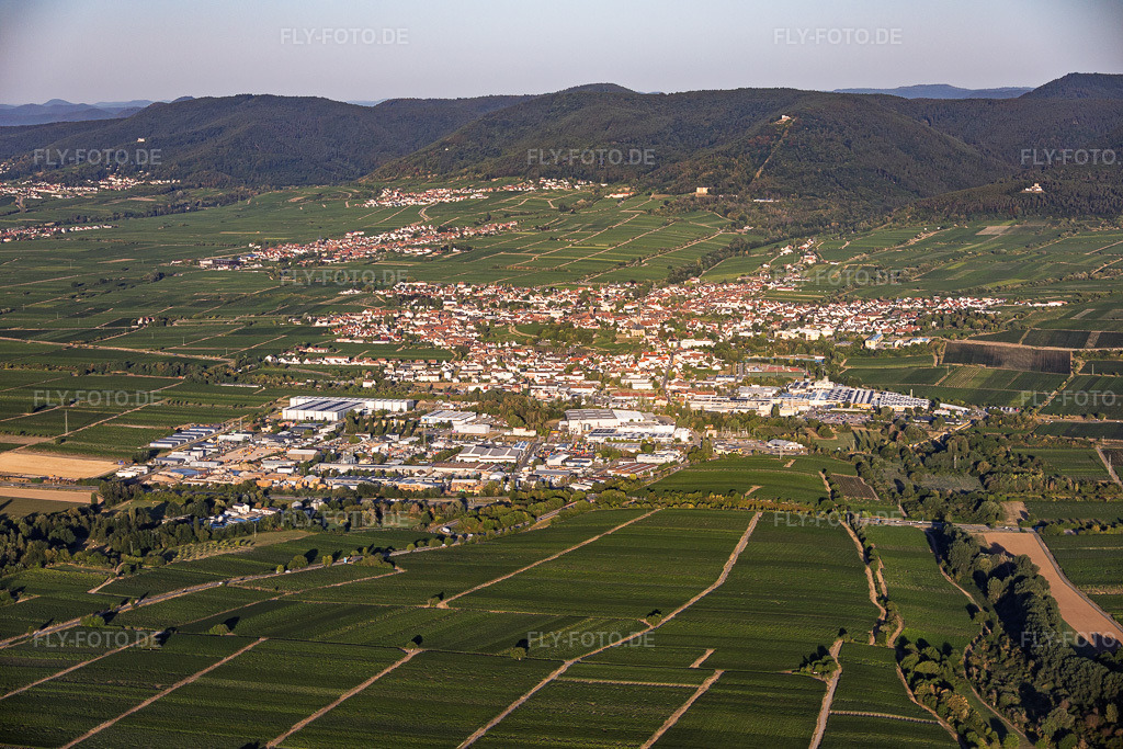 Luftbild: Stadtansicht jenseits der A65 aus Nordosten am Morgen in Edenkoben im Bundesland Rheinland-Pfalz in Deutschland. – Foto: IMG_158488.jpg vom 07.08.2026 durch Werner Riehm/FLY-FOTO.de – Auflösung des Originals: 6000 x 4000 px