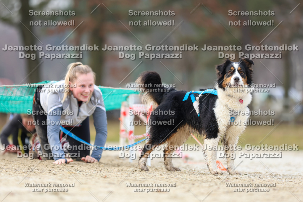 Dog Paparazzi - Strongdog North Mrz26-4171 | Dog Paparazzi Jeanette Grottendiek Fotografie & Videografie - Realisiert mit Pictrs.com