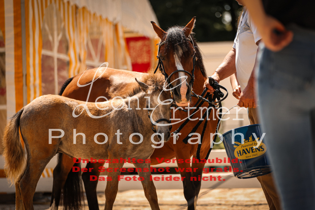 04.DoWP00104 | Leoni Ertmer Photography - Realisiert mit Pictrs.com
