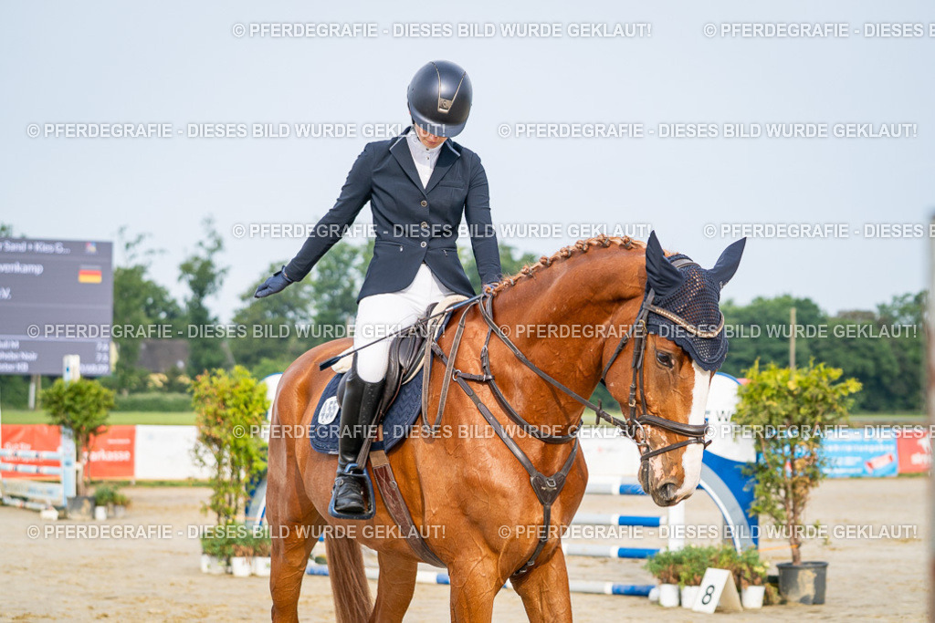 DSC07772 | Pferdegrafie