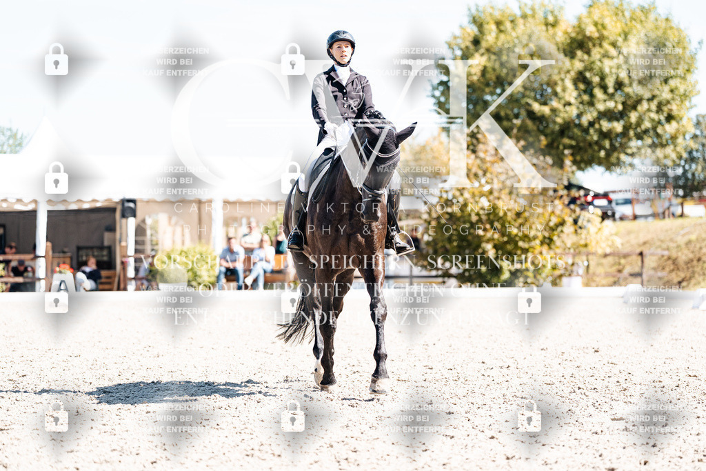 CK909921 | Turnierfotografie Pferdefotografie Trier Rheinland-Pfalz Pferdesport Reitsport Tierfotografie Sportfotografie Pferdevideo Pferdevideografie Equestrianvideography equestrianphotography  - Realisiert mit Pictrs.com