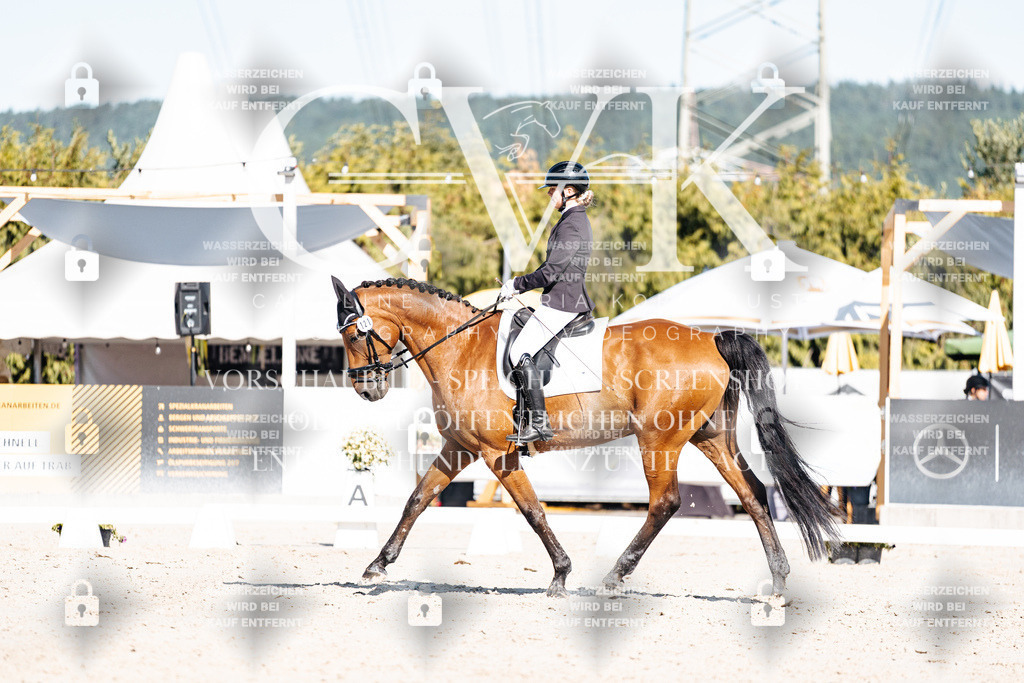 CK908111 | Turnierfotografie Pferdefotografie Trier Rheinland-Pfalz Pferdesport Reitsport Tierfotografie Sportfotografie Pferdevideo Pferdevideografie Equestrianvideography equestrianphotography  - Realisiert mit Pictrs.com