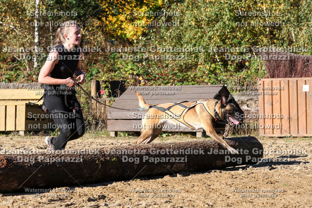 Dog Paparazzi - Strongdog 10-25-1790 | Dog Paparazzi Jeanette Grottendiek Fotografie & Videografie - Realisiert mit Pictrs.com