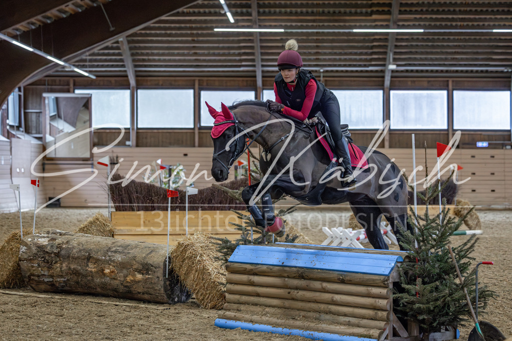20260222-_3LI2283 | Tierfotografie Pferde, Hunde, Katzen, Haustiere.
Turnierfotografie Reitturniere, Reiten, Springreiten, Dressur in Hanau, dem Main-Kinzig-Kreis und dem Rhein-Main- Gebiet um Frankfurt