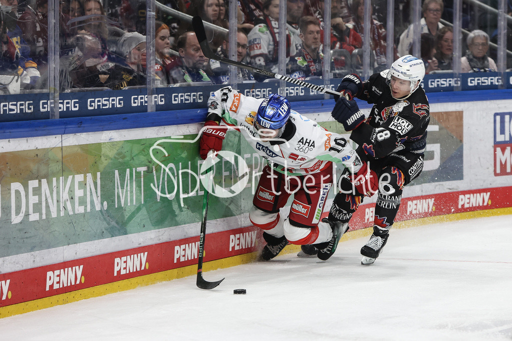 Eisbären Berlin - Augsburger Panther | im Duell Chirs COLLINS (AEV #10) und Jonas MUELLER (EBB #18) / Zweikampf