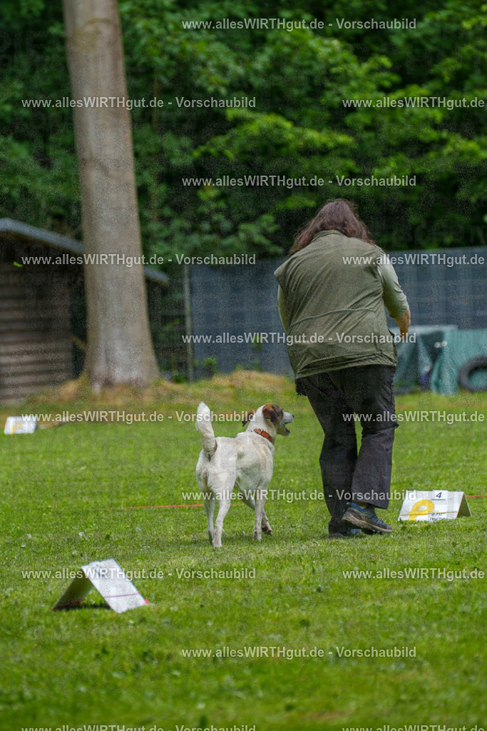 @allesWIRTHgut_Tierfotografie - www.allesWIRTHgut.de - 7R504298 | Professionelle Tierfotografie in Mönchengladbach von Daniel Wirth (allesWIRTHgut). Liebevolle & natürliche Bilder von Hunden & Katzen für unvergessliche Erinnerungen.