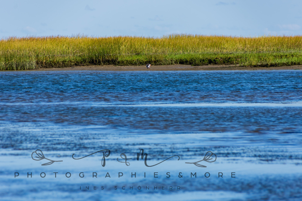 IMGP0380 | Nordseeinsel Mandö - Realisiert mit Pictrs.com