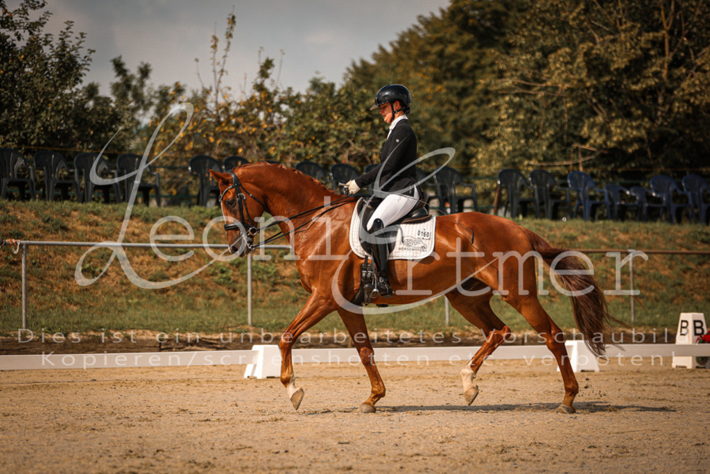 18.FrDrM00085 | Leoni Ertmer Photography - Realisiert mit Pictrs.com