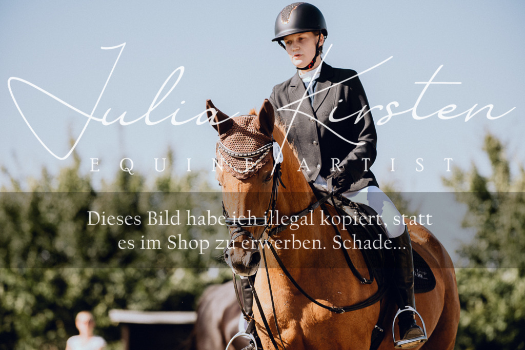 DSC_7212 | Pferde- und Turnierfotografie in Westsachsen. Pferdeportraits, Auftragszeichnungen und intuitive Kunst.