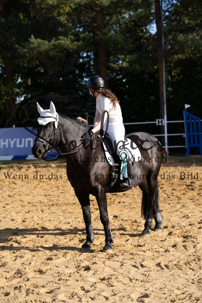 A7V02768 | Pferdefotograf