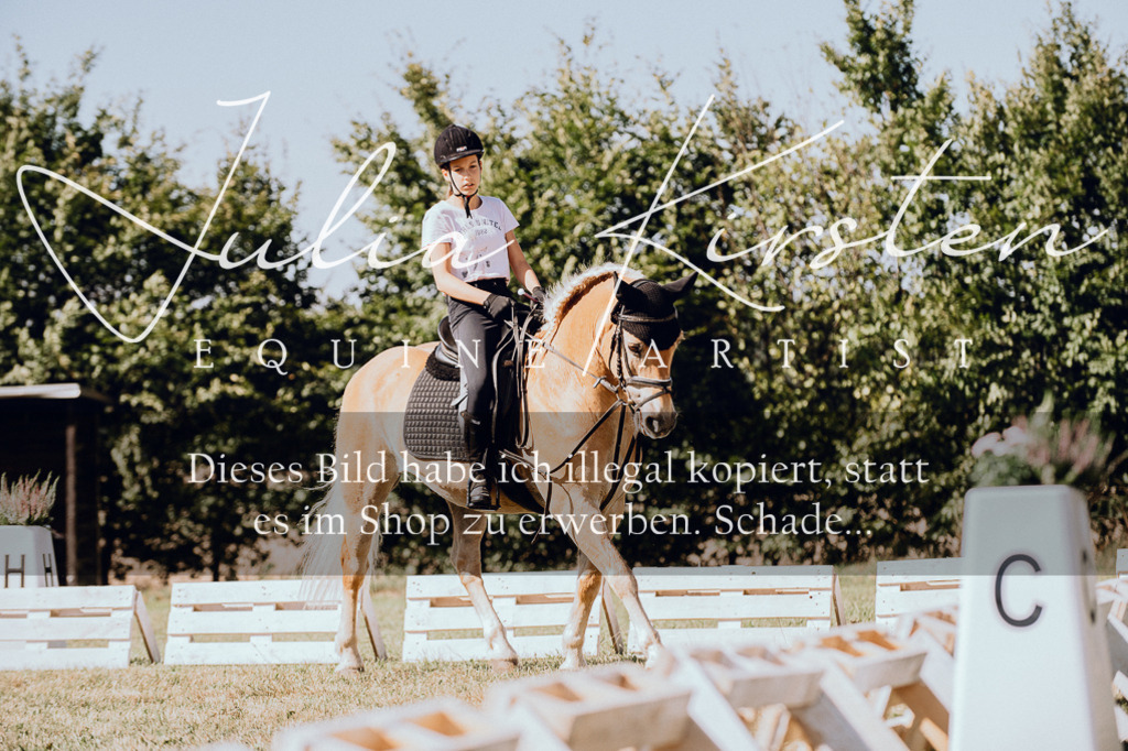 DSC_7284 | Pferde- und Turnierfotografie in Westsachsen. Pferdeportraits, Auftragszeichnungen und intuitive Kunst.
