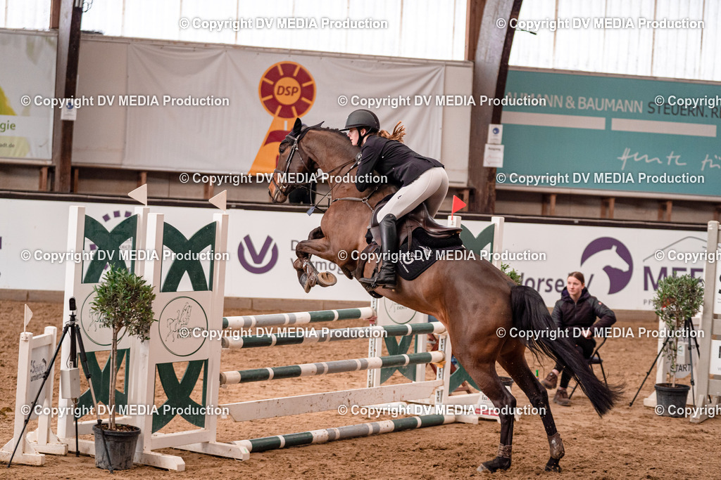 Kranichstein Tag 2-233 | dv-media-shop - Realisiert mit Pictrs.com