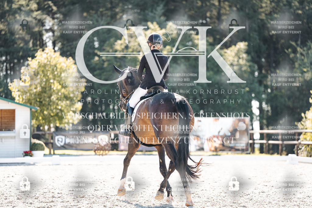 CK905925 | Turnierfotografie Pferdefotografie Trier Rheinland-Pfalz Pferdesport Reitsport Tierfotografie Sportfotografie Pferdevideo Pferdevideografie Equestrianvideography equestrianphotography  - Realisiert mit Pictrs.com