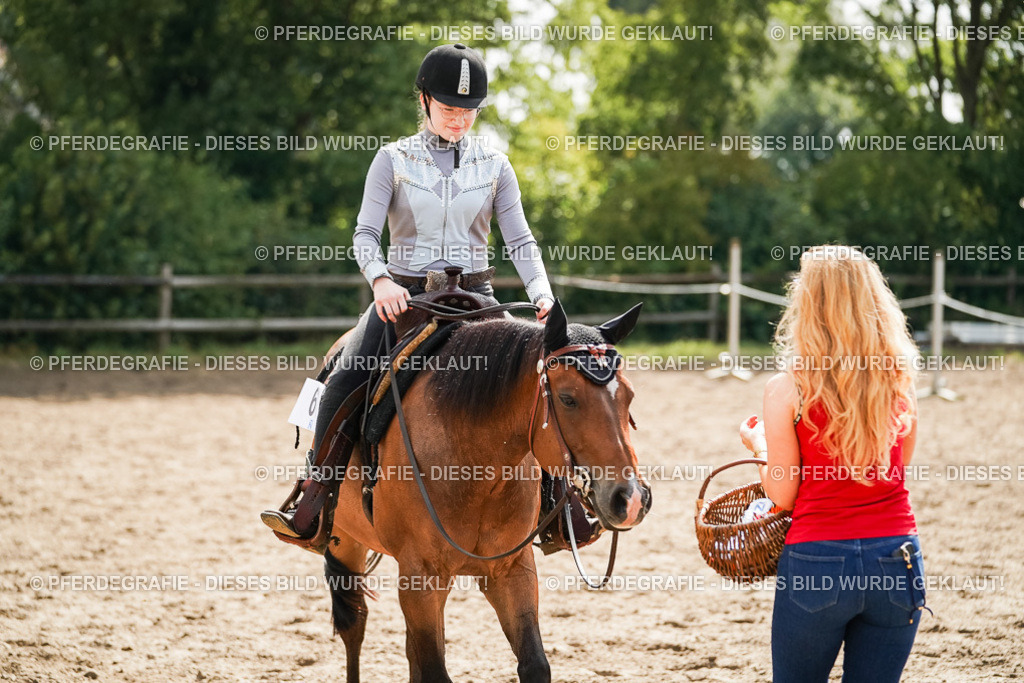 DSC05078 | Pferdegrafie