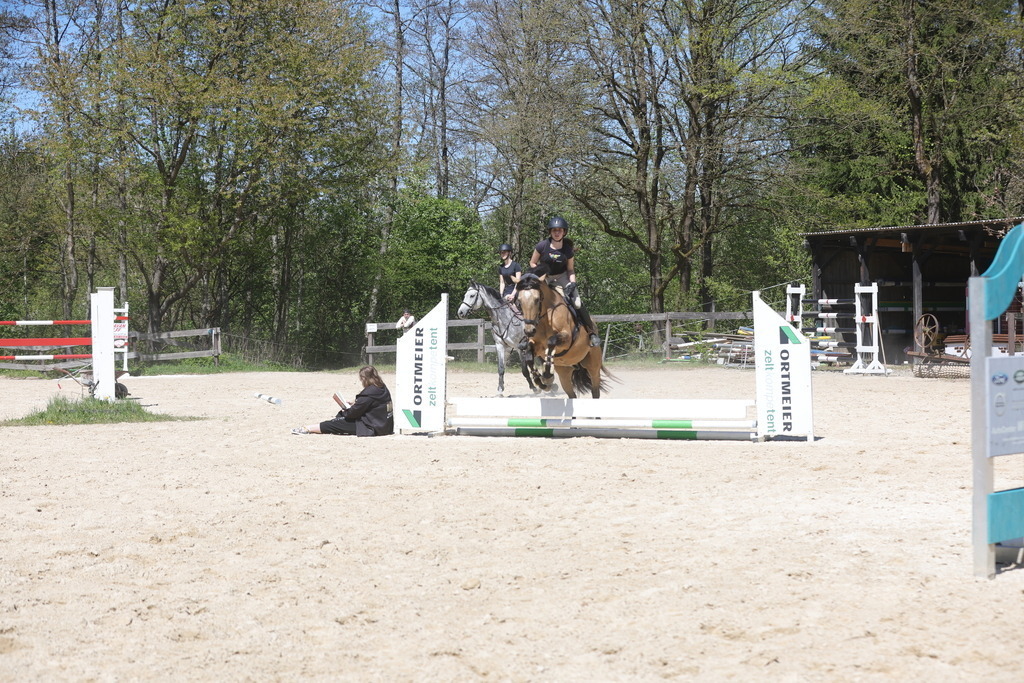 0P6A8808 | Willkommen bei Brunnmayr - Design & Fotografie – Ihrem Spezialisten für Reitturniere und Pferdeveranstaltungen in Oberösterreich, Salzburg und Bayern! Seit über 17 Jahren sind wir leidenschaftlich dabei.