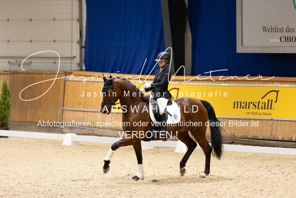 126A1270 | jasminmetznerfotografie