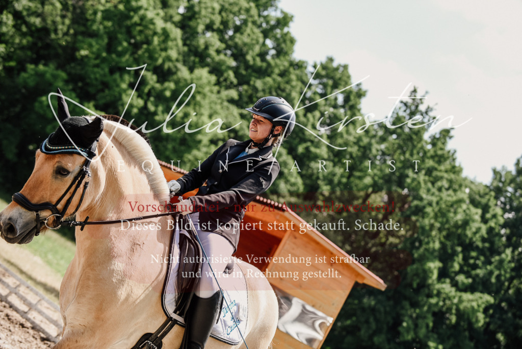 DSC_1659 | Pferde- und Turnierfotografie in Westsachsen. Pferdeportraits, Auftragszeichnungen und intuitive Kunst.