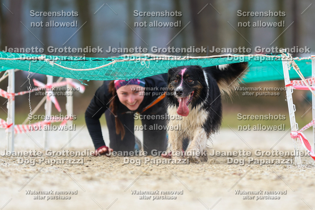 Dog Paparazzi - Strongdog North Mrz26-3850 | Dog Paparazzi Jeanette Grottendiek Fotografie & Videografie - Realisiert mit Pictrs.com
