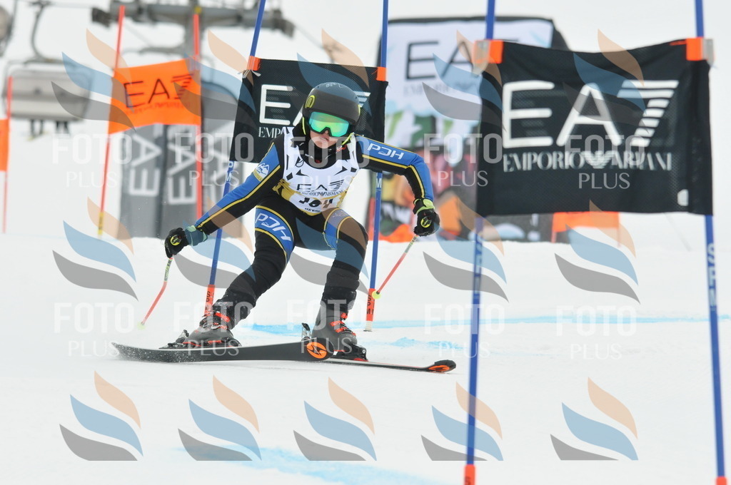 DSC_8543 | holidayphoto