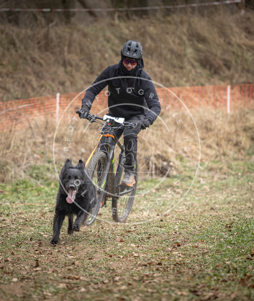 Pfotenfotografie_DV3A6176 | Hundefotografie, Tierfotograf, Pfotenfotografie, Fotoshooting Hund, Hunde Portrait, Hundesport, Hundeportraits, Heideshooting, Hunde, Sportfotograf, Hundefotograf, Turnierhundsport, THS,  - Realisiert mit Pictrs.com