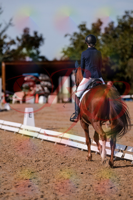 2026_10_03_Siefer-Hof_123419_Z81_32115352 | Professionelle Reitsport-, Turnier- und Eventfotografie von Robert Broda. Galerien mit ausgewählten und bearbeiteten Bildern direkt online ansehen und bestellen.
