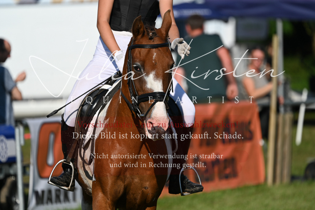 DSC_4882 | Pferde- und Turnierfotografie in Westsachsen. Pferdeportraits, Auftragszeichnungen und intuitive Kunst.
