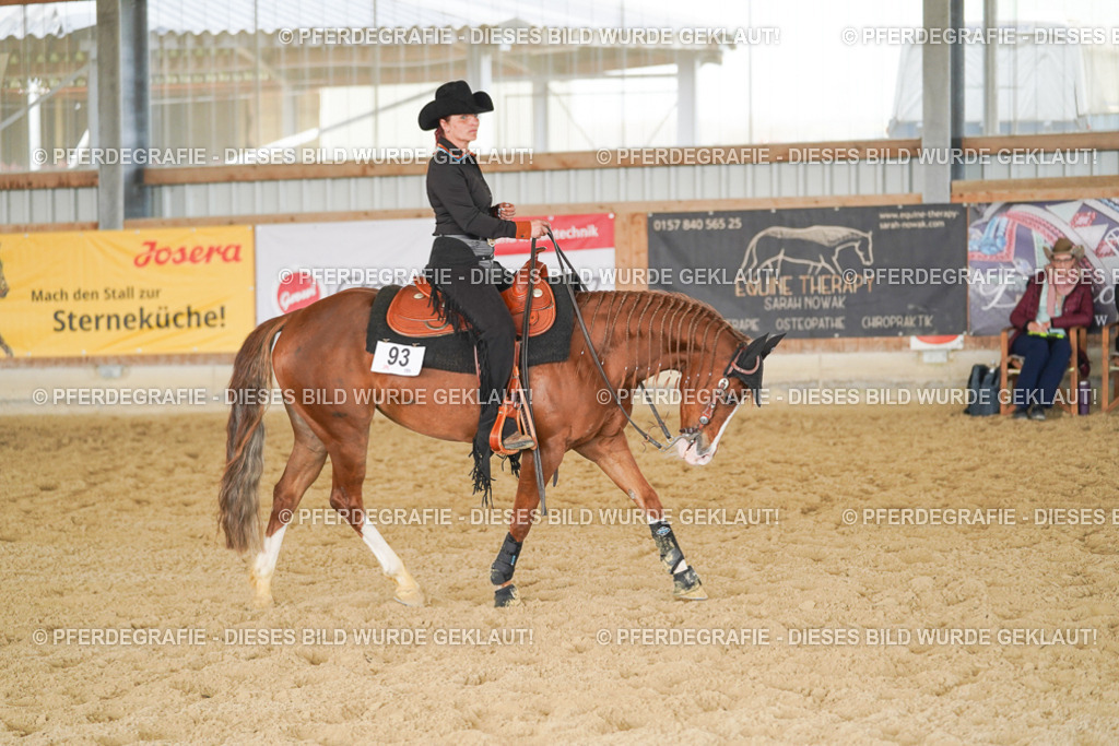 DSC02005 | Pferdegrafie