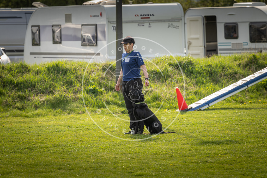 Pfotenfotografie_DV3A4885 | Hundefotografie, Tierfotograf, Pfotenfotografie, Fotoshooting Hund, Hunde Portrait, Hundesport, Hundeportraits, Heideshooting, Hunde, Sportfotograf, Hundefotograf, Turnierhundsport, THS,  - Realisiert mit Pictrs.com