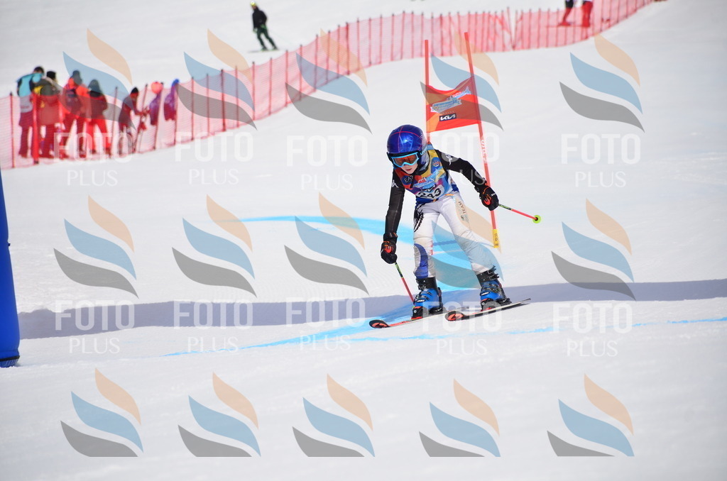 VR4_7433 | holidayphoto