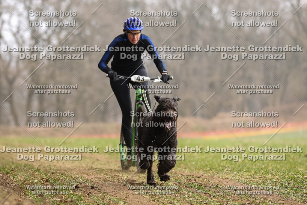 Dog Paparazzi - Plate 2026-136 | Dog Paparazzi Jeanette Grottendiek Fotografie & Videografie - Realisiert mit Pictrs.com