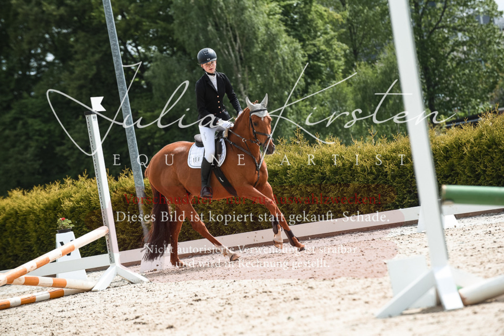 20230518_JK-Röhrsdorf-10-136 | Pferde- und Turnierfotografie in Westsachsen. Pferdeportraits, Auftragszeichnungen und intuitive Kunst.