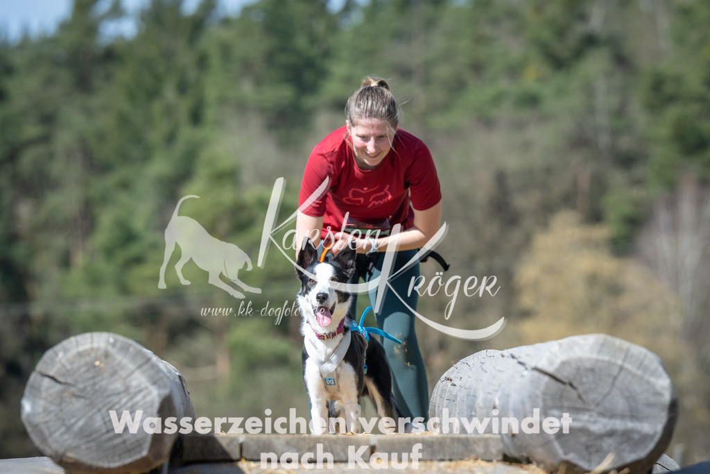 1204_ZZ98876 | kk-dogfotos