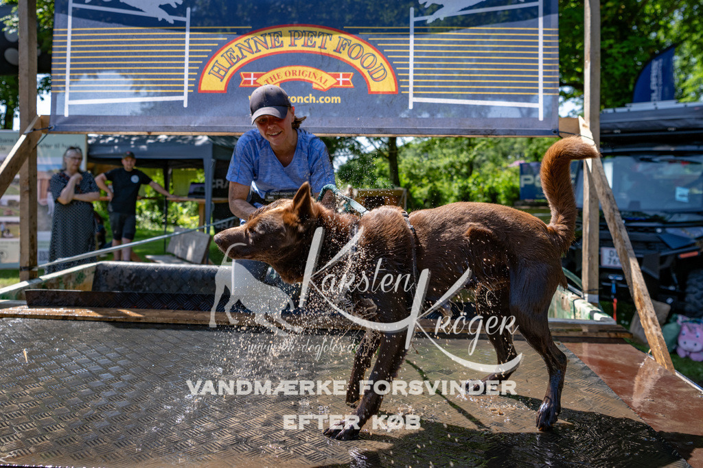 1252_ZZ90299 | kk-dogfotos