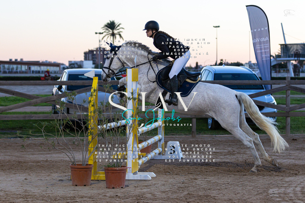 IMG_6156 | s-jay-photography - Realisiert mit Pictrs.com