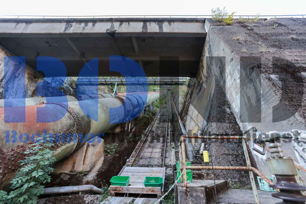 SES_RUHIGA20250918-59 | bond - Realisiert mit Pictrs.com