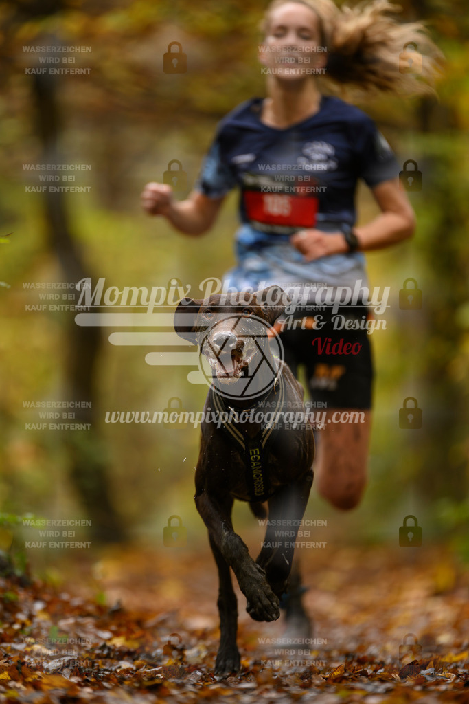 MompixPhotography_CD7S_DI_CCL-18 | mompixphotography