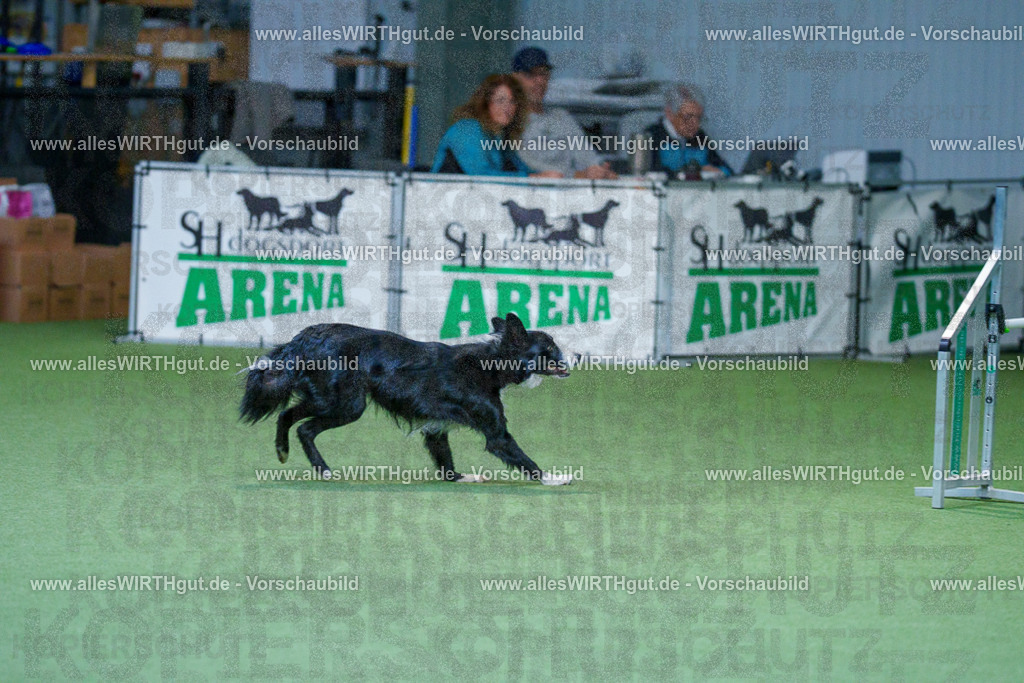 @allesWIRTHgut_Tierfotografie - www.allesWIRTHgut.de - 2604260809-7R506721 | Professionelle Tierfotografie in Mönchengladbach von Daniel Wirth (allesWIRTHgut). Liebevolle & natürliche Bilder von Hunden & Katzen für unvergessliche Erinnerungen.