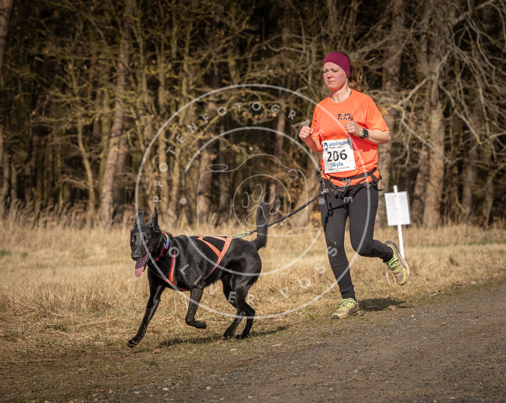 DV3A5831 | Hundefotografie, Tierfotograf, Pfotenfotografie, Fotoshooting Hund, Hunde Portrait, Hundesport, Hundeportraits, Heideshooting, Hunde, Sportfotograf, Hundefotograf, Turnierhundsport, THS,  - Realisiert mit Pictrs.com