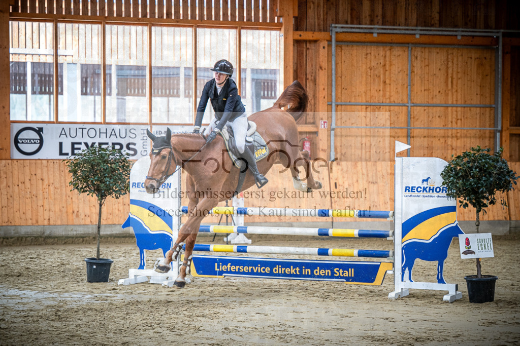 DOS_1989 | Entdecke hochwertige Reitturnierfotos von Foto Oger. Professionell, emotional und authentisch – jetzt Lieblingsmomente im Shop bestellen.Deutschlandweite Turnierfotografie. - Realisiert mit Pictrs.com