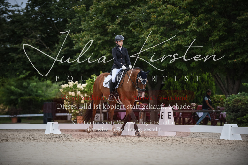 DSC_8417 | Pferde- und Turnierfotografie in Westsachsen. Pferdeportraits, Auftragszeichnungen und intuitive Kunst.