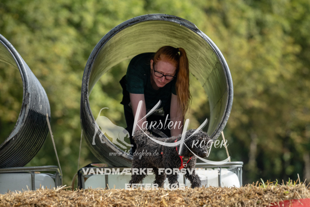 1123_ZZ94039 | kk-dogfotos