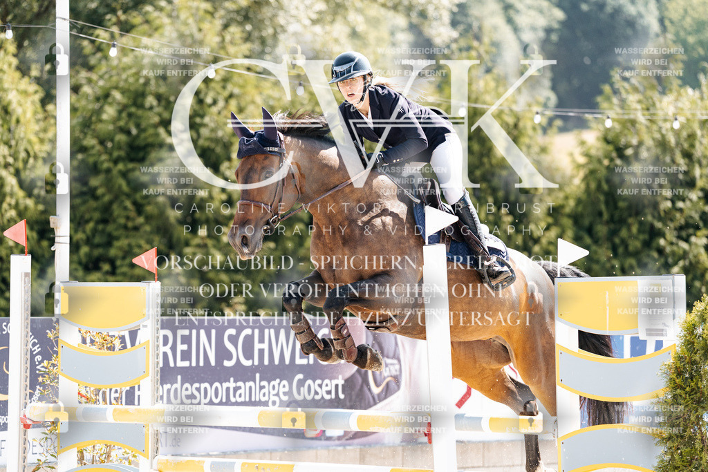 CK908663 | Turnierfotografie Pferdefotografie Trier Rheinland-Pfalz Pferdesport Reitsport Tierfotografie Sportfotografie Pferdevideo Pferdevideografie Equestrianvideography equestrianphotography  - Realisiert mit Pictrs.com