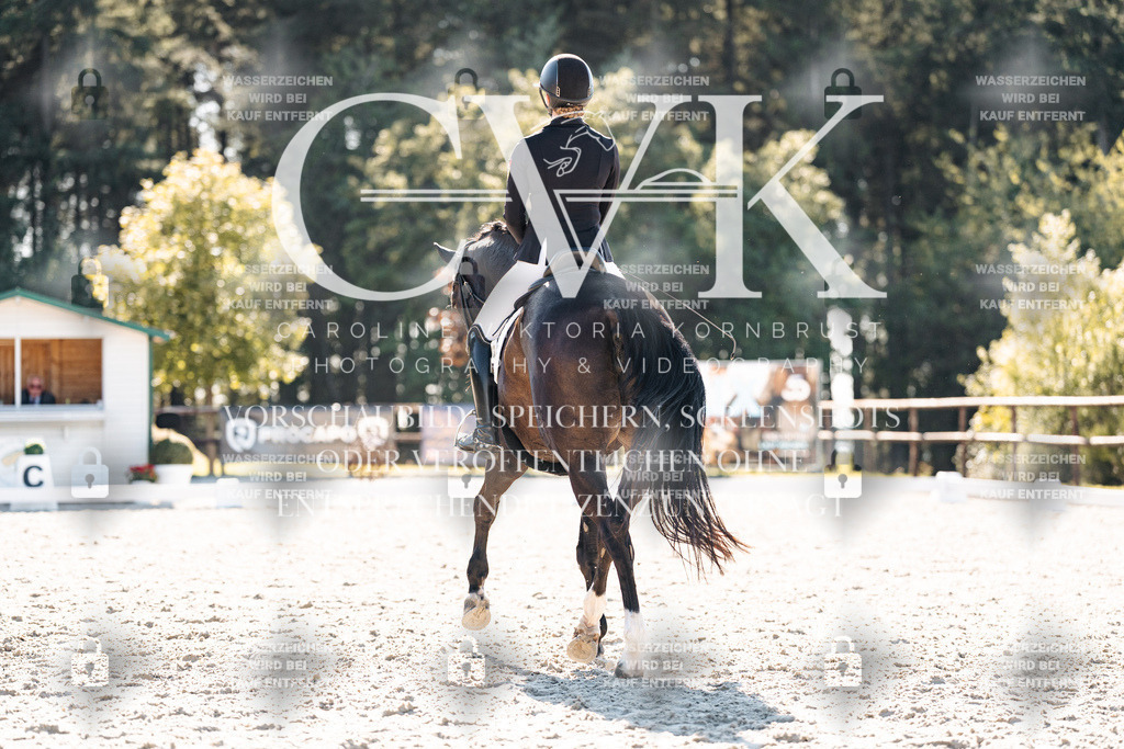 CK905801 | Turnierfotografie Pferdefotografie Trier Rheinland-Pfalz Pferdesport Reitsport Tierfotografie Sportfotografie Pferdevideo Pferdevideografie Equestrianvideography equestrianphotography  - Realisiert mit Pictrs.com
