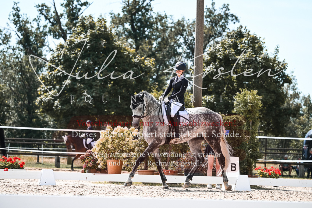 DSC_5581 | Pferde- und Turnierfotografie in Westsachsen. Pferdeportraits, Auftragszeichnungen und intuitive Kunst.