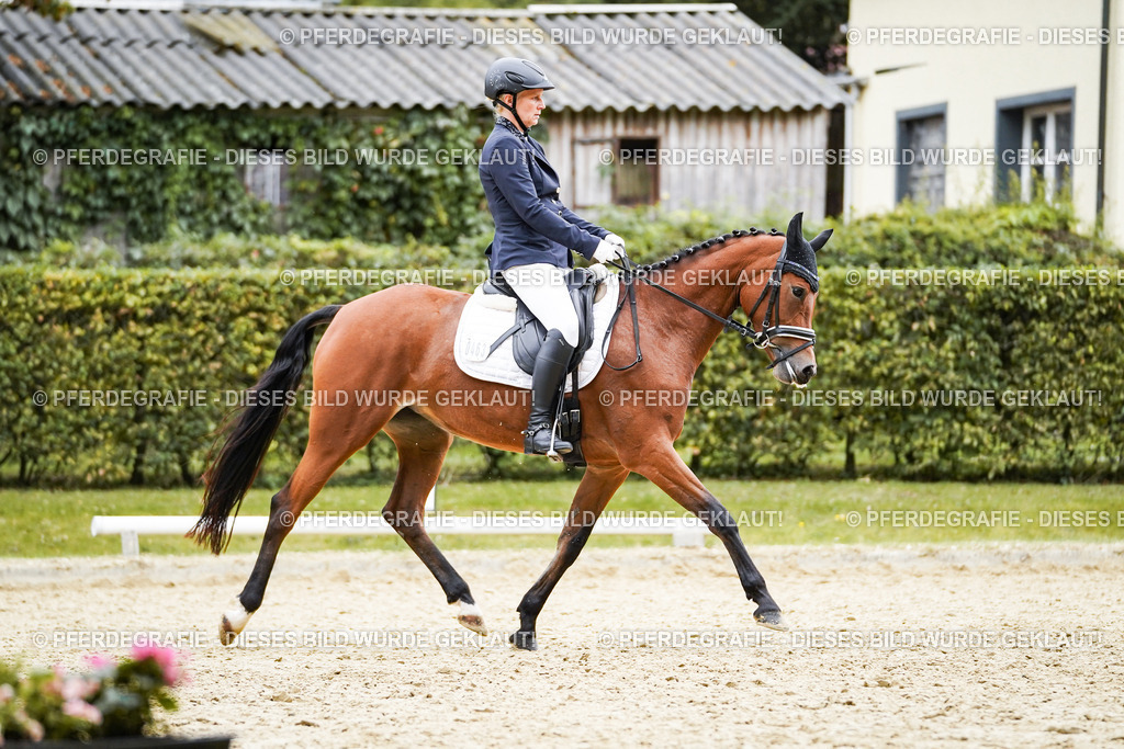 DSC01369 | Pferdegrafie