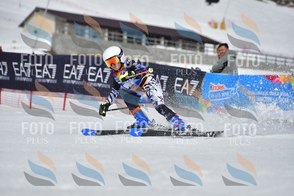 _DSC7267 | holidayphoto